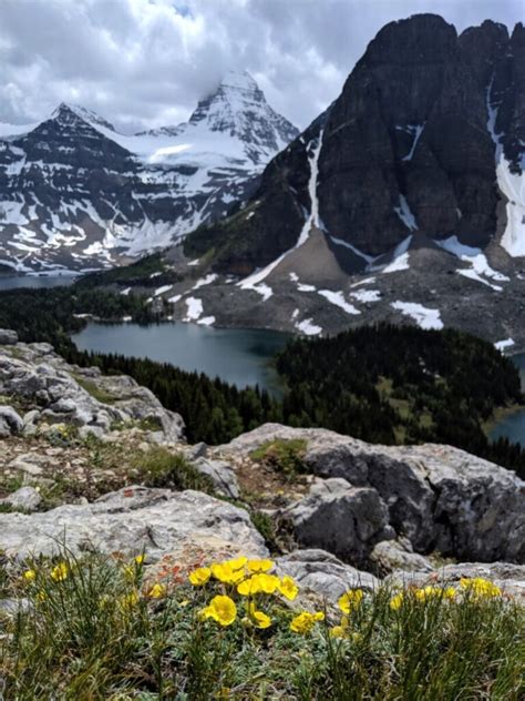 Complete Hiking Guide To Mount Assiniboine Provincial Park
