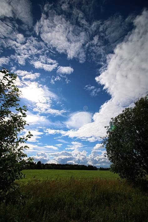 Lanscape Meadow Sky Cloud Stock Photo Image Of Landscape 81839120