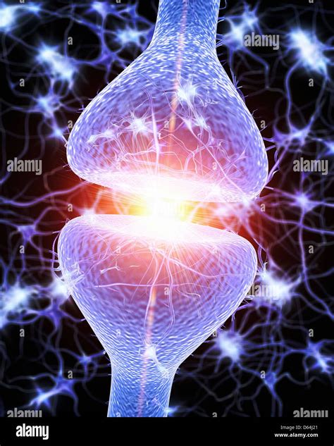 Sinapsis Nerviosa Ilustraciones Fotografía De Stock Alamy
