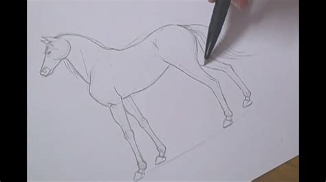 Aprender Sobre Imagem Desenhos De Cavalos Para Desenhar Br Thptnganamst Edu Vn