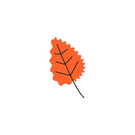 Premium Vector Autumn Leaf With Veins Fall Aspen Foliage Season