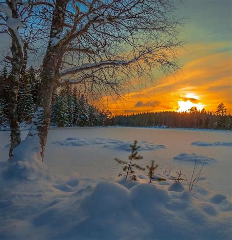 Frozen Stillness Winter Pictures Winter Scenes Landscape