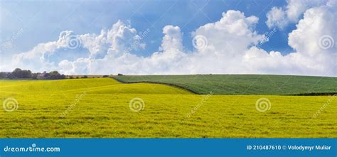 Summer Panorama With Green Field And Blue Sky With White Curly Clouds