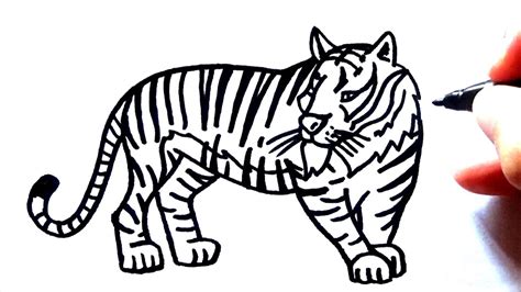 Cómo dibujar UN TIGRE fácil paso a paso dibujo de un Tigre YouTube