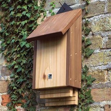 20 Diy Bat House Plans To Attract Bats Diys