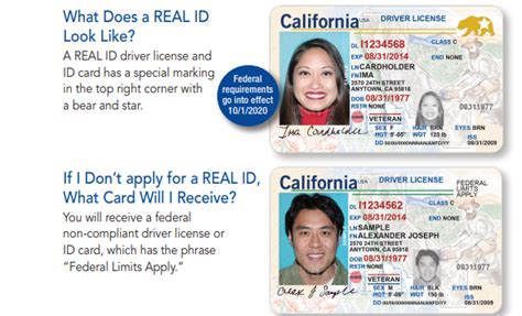 It's a vertical (under 21) license if that helps. AB540 and Undocumented Student Center - REAL ID