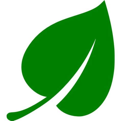 Icon sportswire / getty images. Green leaf icon - Free green leaf icons