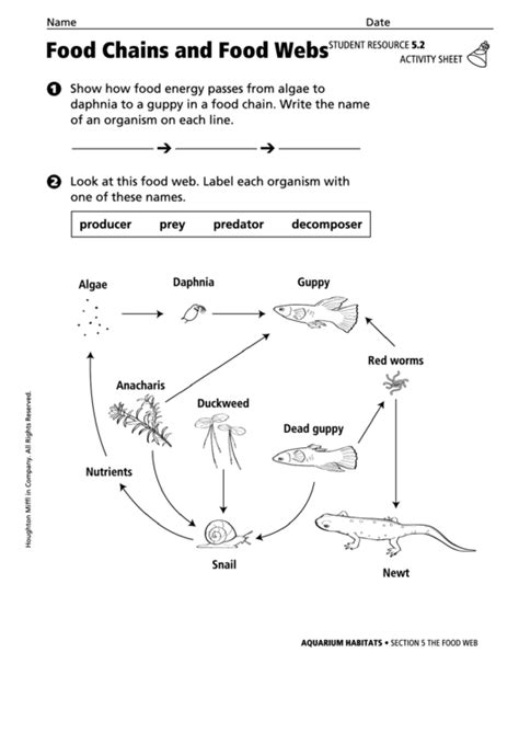 Food Chains And Food Webs Biology Worksheet Printable Pdf Download
