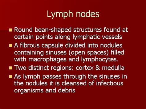 Lymphatic System Lecture 2 Lymph Nodes N Round