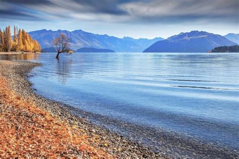 Tapeta Na Monitor Podzimní Nový Zéland уанака Jezero Stromy Hory