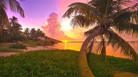 High Definition Tropical Beach Sunset Wallpapers Wallpapers Free