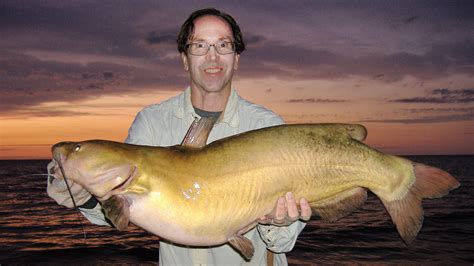 Kayak Angler Catches Massive Catfish On Lake Erie In Pennsylvania Pa