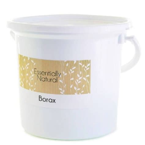 Buy Essentially Natural Borax Powder Online