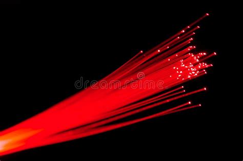 Optical Fibers Stock Photo Image Of Networking Rays Network 834208