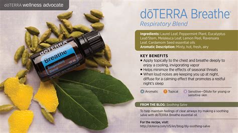Doterra Breathe Respiratory Blend Dōterra Essential Oils