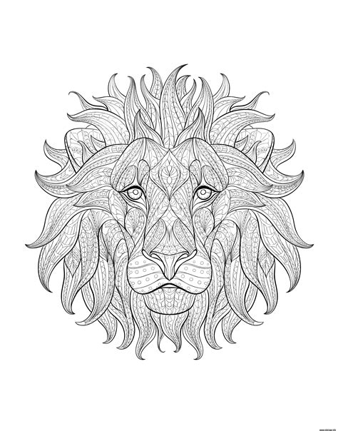 Coloriage Adulte Tete Lion 3