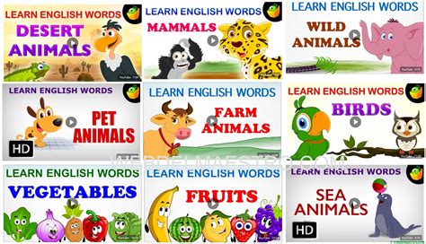 Vídeos De Inglés Aprender Palabras En Inglés