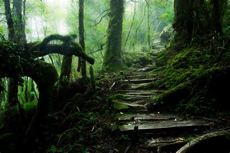 28 Magical Paths Begging To Be Walked Bored Panda