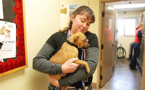 Humane Society Rescues Dogs From Other Shelters Pets