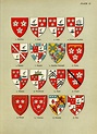 The heraldry of the Hamiltons : with notes on all the males of the ...