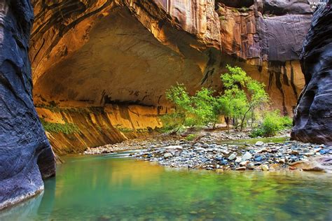 Zion Narrows Canyon Rocks The United States Stones Utah State
