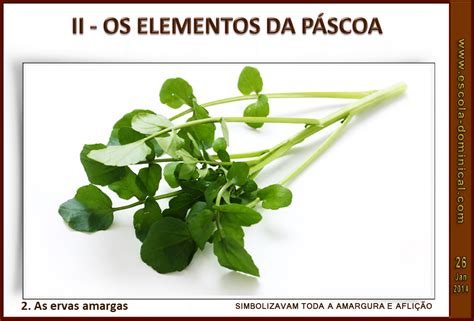 Ervas Amargas Na Bíblia