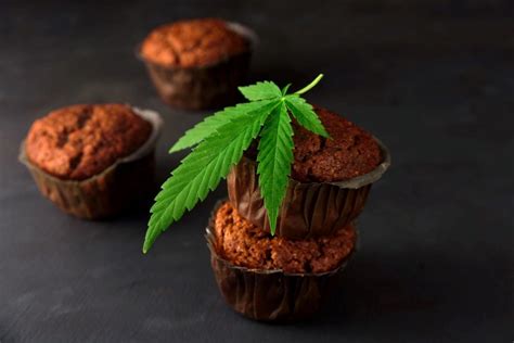 How To Make Edibles Guide To Cooking With Cannabis