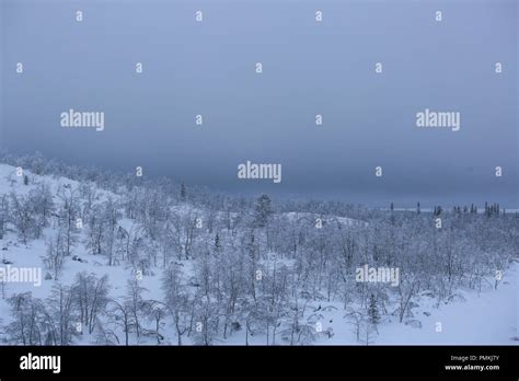 North Europe Snow Covered Scandinavian Boreal Coniferous Forest
