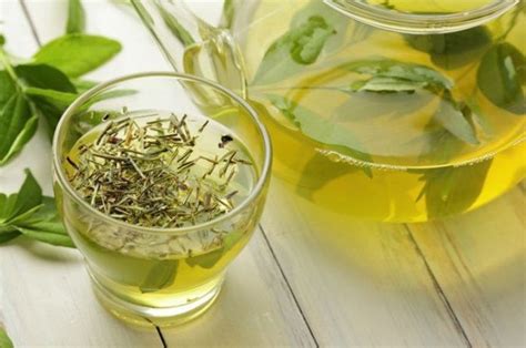 os 12 benefícios do chá de erva doce para saúde celeiro do brasil