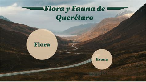 Top 103 Flora Y Fauna De Querétaro Anmbmx