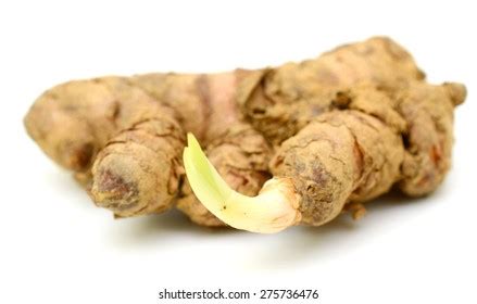 Group Fresh Gember Roots Used Cooking Stock Photo Shutterstock