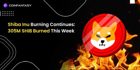 Shiba Inu Burning Continues 305m Shib Burned Latest Update