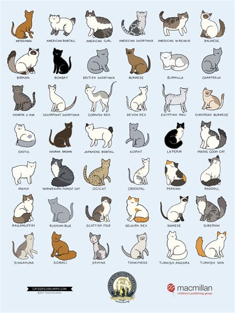 The Cats Breeds Cat Breeds Chart Cat Breeds Cute Cats