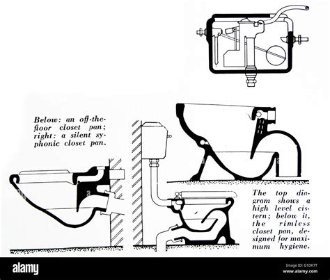 Diagrams Of The Different Toilet Bowls And The Flushing Mechanisms