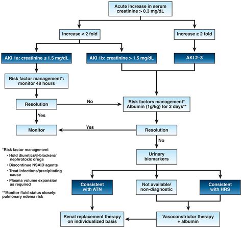 Evaluation And Management Of Acute Kidney Injury Aki In Patients With