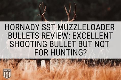 Hornady Sst Muzzleloader Bullets Review Excellent Shooting Bullet But
