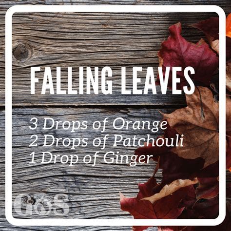 Falling Leaves Diffuser Blend With Orange Patchouli And Ginger
