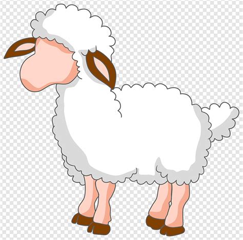 Gambar Gambar Tangan Domba Lucu Untuk Hewan Kurban Pada Hari Raya Idul