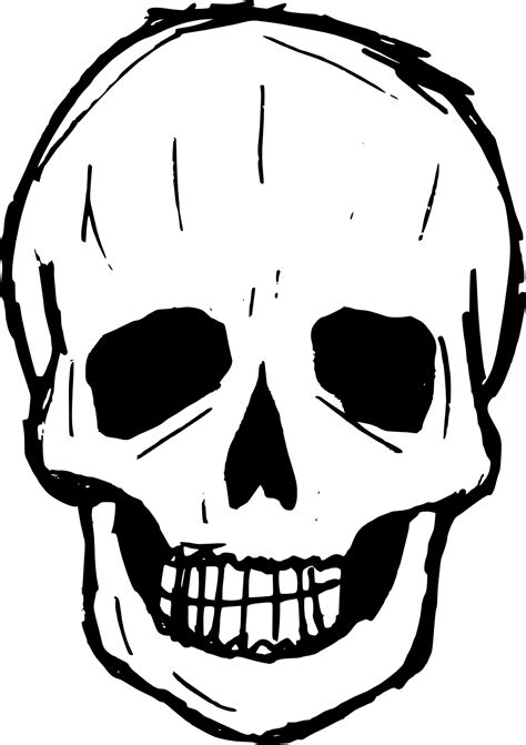 Skull Drawing Clip Art Skull Png Download 10931548 Free