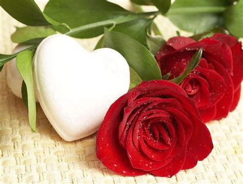 Descarga Gratis Rosas Con Corazón Rosa Roja Romántico Amor