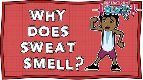 Why Does Sweat Smell So Bad Operation Ouch Nugget Youtube