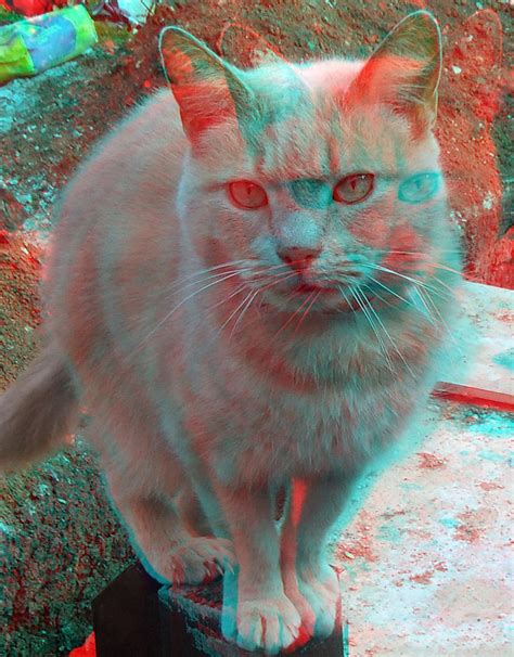 Cat 3d Anaglyph Red Blue Glasses To View Red And Blue Neon Art 3d