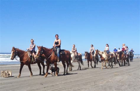 Horseback Riding On The Beach Visit Long Beach Peninsula