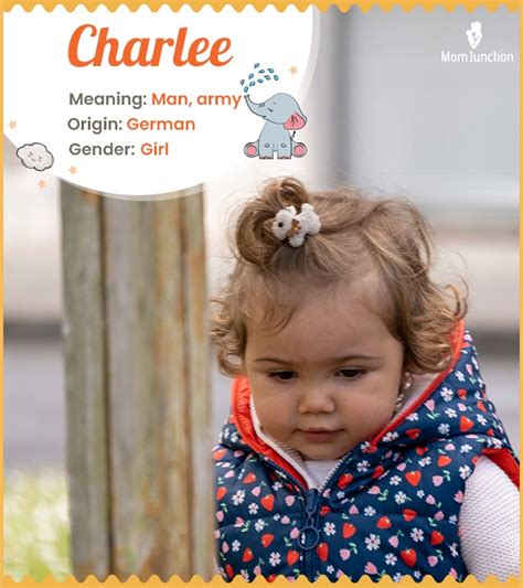Charlee Meaning Origin History And Popularity