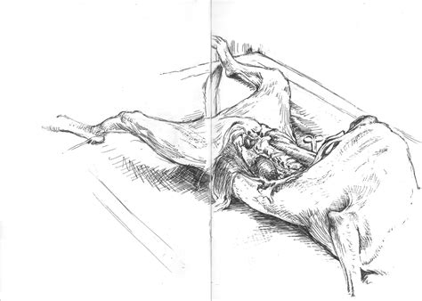 Feel free to explore, study and enjoy paintings with paintingvalley.com. Dog Anatomy Drawing