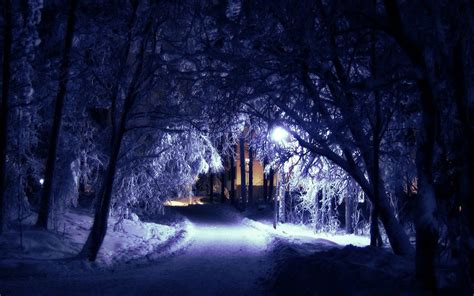 Cold Winter Night Background