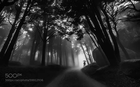Best Of 2014 Top 10 Black And White Photos 500px