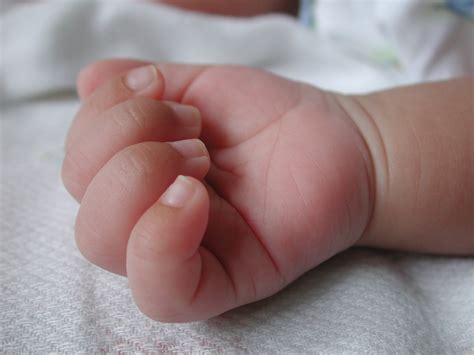 Little Hand Free Photo Download Freeimages