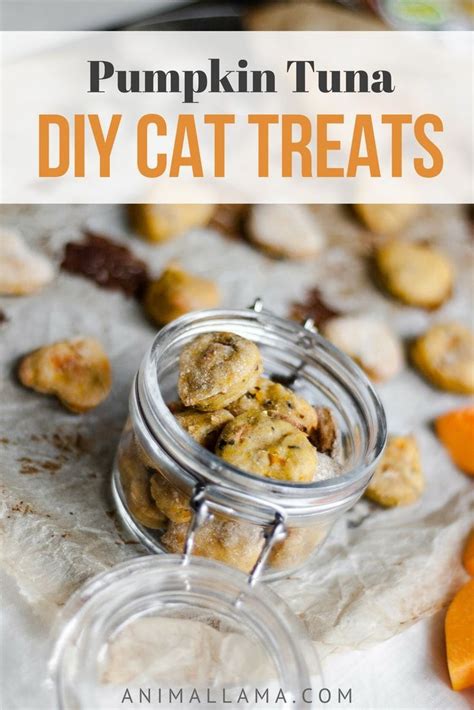 The reasons why we love our cats are endless, so show tuna catnip crouton treats. DIY Pumpkin Tuna Cat Treats | Recipe | Homemade cat food ...