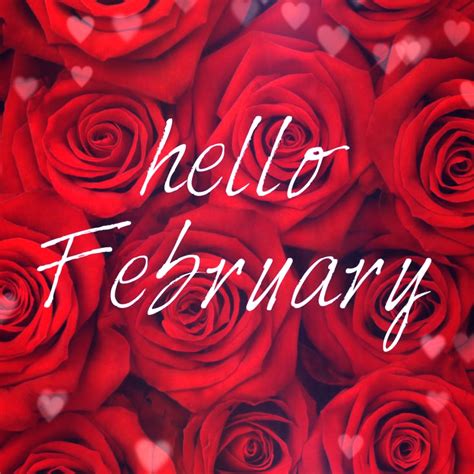 #LUVIT 😍 Hello, February - let's make it a LUVly month! 🌹🌹🌹 LUV, Kitty Katrina 💖 #hellofebruary ...